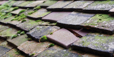 Thornton roof repair costs